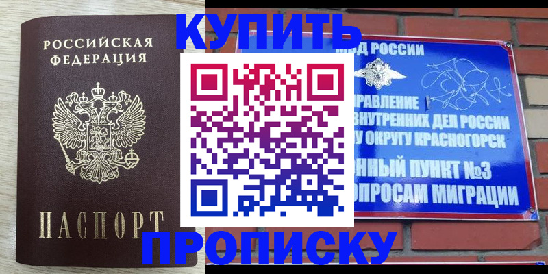 прописка гарантия в Можайске